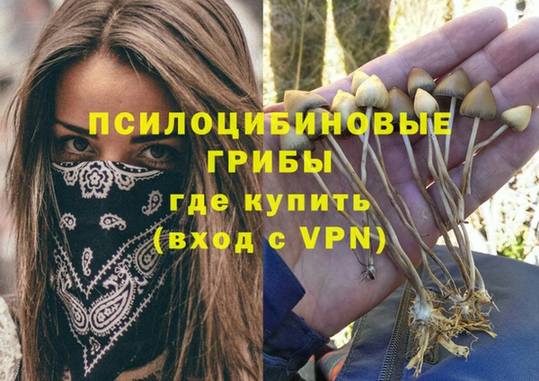 гидра Армянск