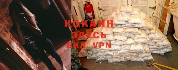 гидра Арсеньев